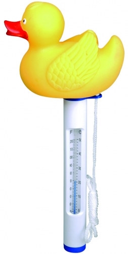 Pool Thermometer Ente